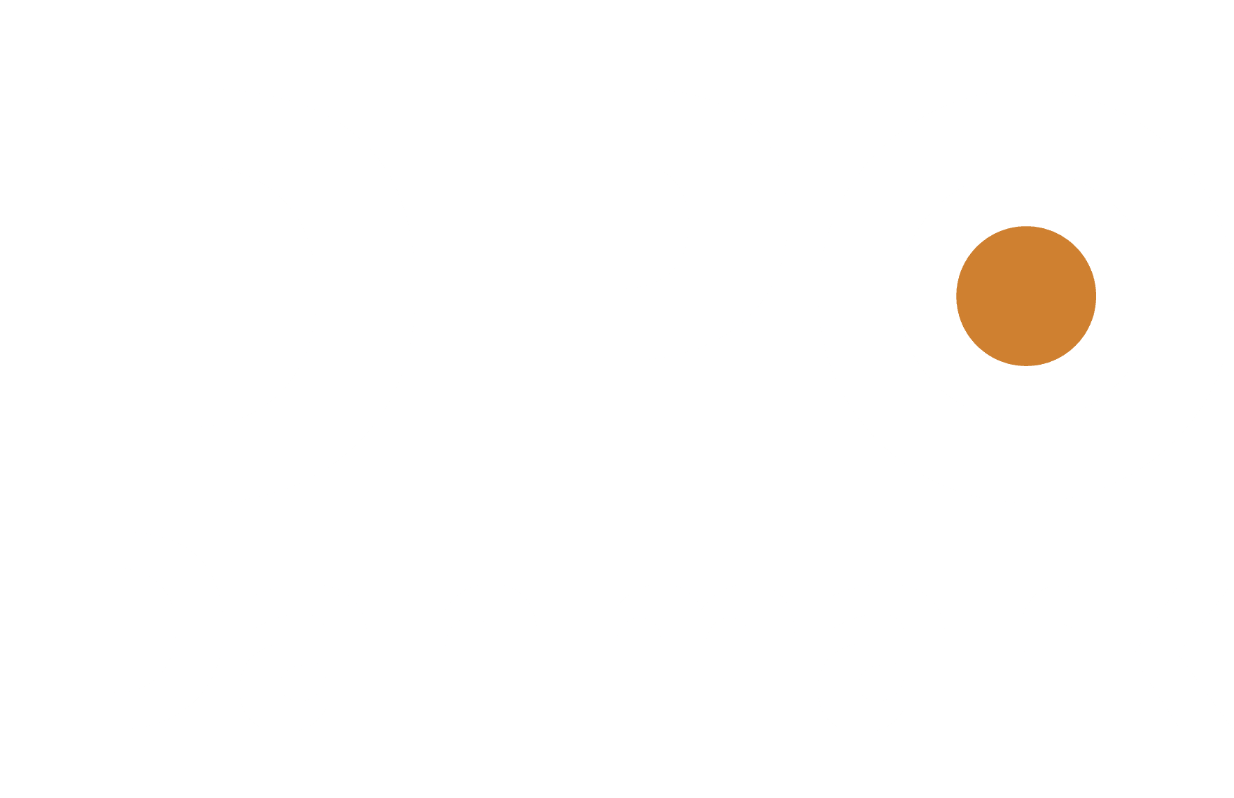 DPO DK logo 2024 white